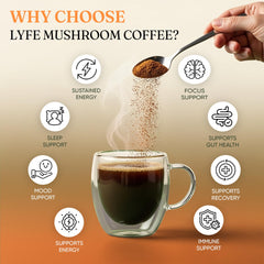 Chaga, Cordyceps, and Turkey Tail mushrooms close-up