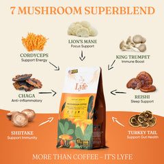 Lion’s Mane, Chaga, Cordyceps and other mushrooms close-up (ingredients)