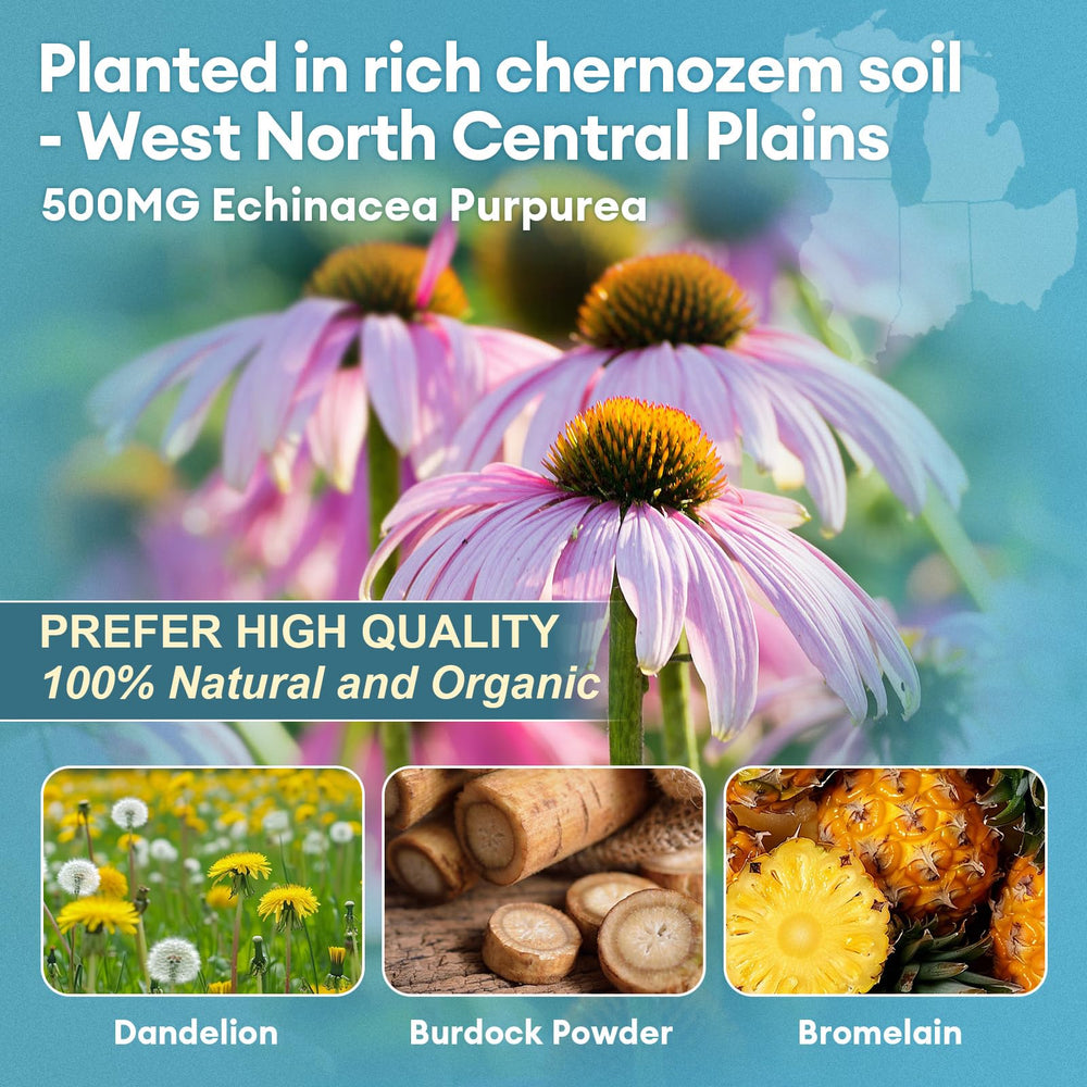 Echinacea, dandelion, burdock root and bromelain ingredients