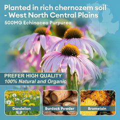 Proprietary 650mg lymphatic complex formula label