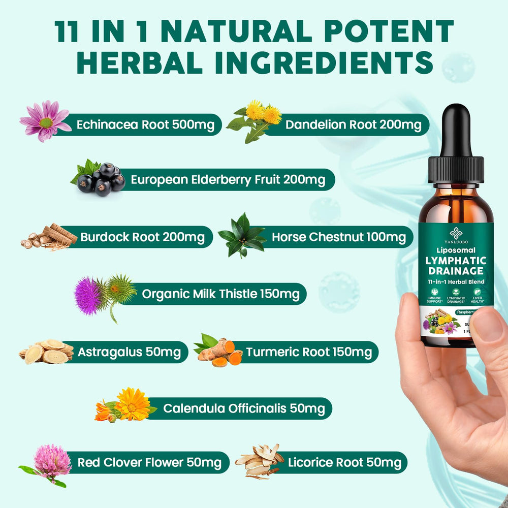 Echinacea and Elderberry illustrating immune support