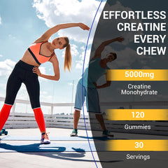 Ingredients panel for Lysimi Creatine Monohydrate Gummies