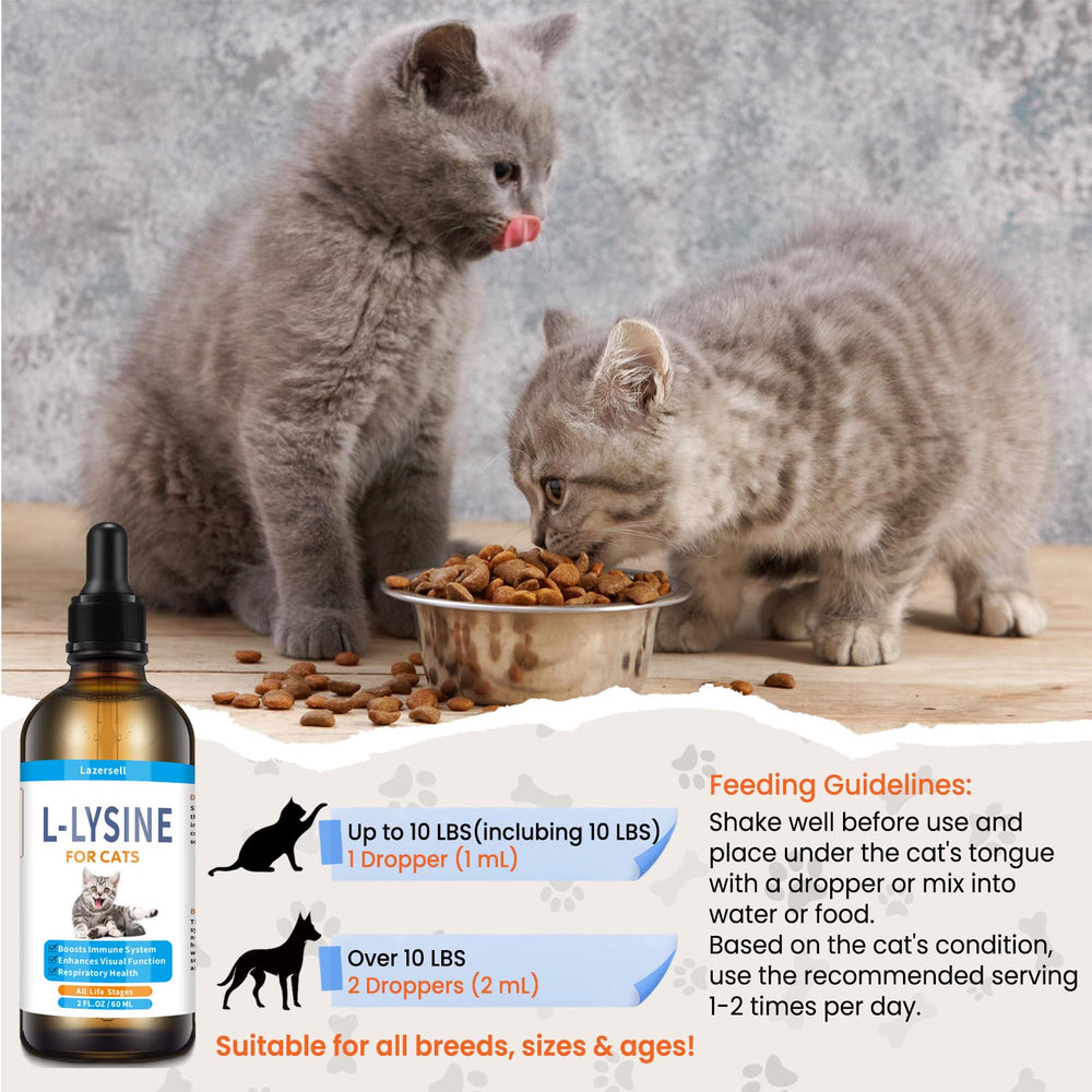 Cat eye health imagery associated with Lysine supplementation