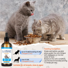 Cat eye health imagery associated with Lysine supplementation