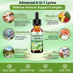 Monolaurin, Olive Leaf Extract, Vitamin C, D3 and Zinc ingredients graphic