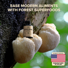 Made in USA in GMP-certified facility badge