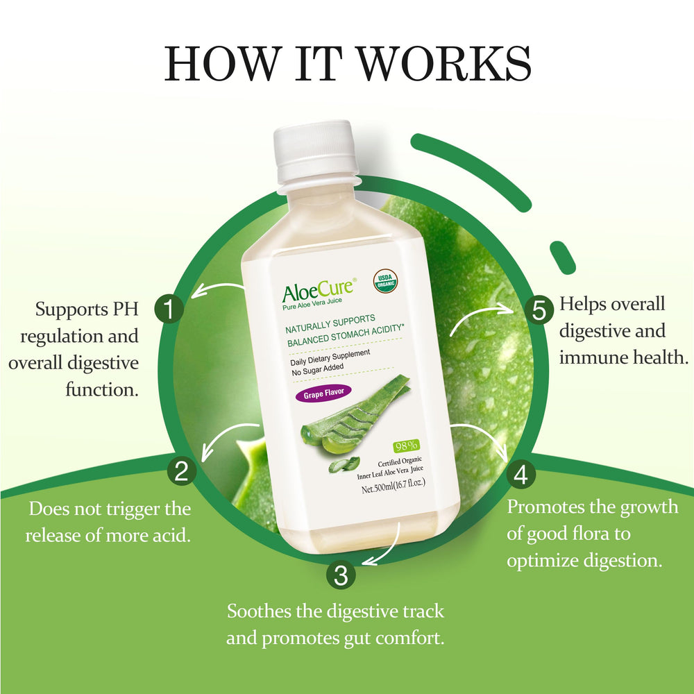 Harvest moment: AloeCure juice made within 12 hours