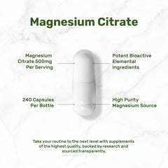 Illustration of muscle, heart and digestive support
