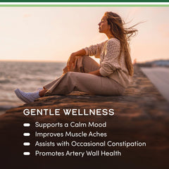 Graphic illustrating digestion support benefits