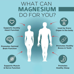 Graphic illustrating high absorption of magnesium glycinate