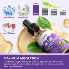 Magnesium glyinate, L-Theanine, Ashwagandha ingredients
