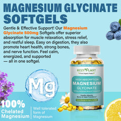 Graphic illustrating high absorption of magnesium glycinate