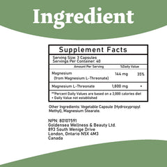 Concept image showing brain health and magnesium supplementation
