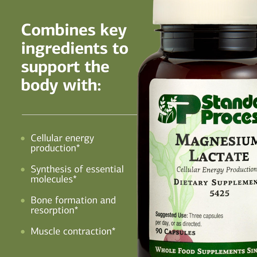 Diagram illustrating magnesium lactate absorption