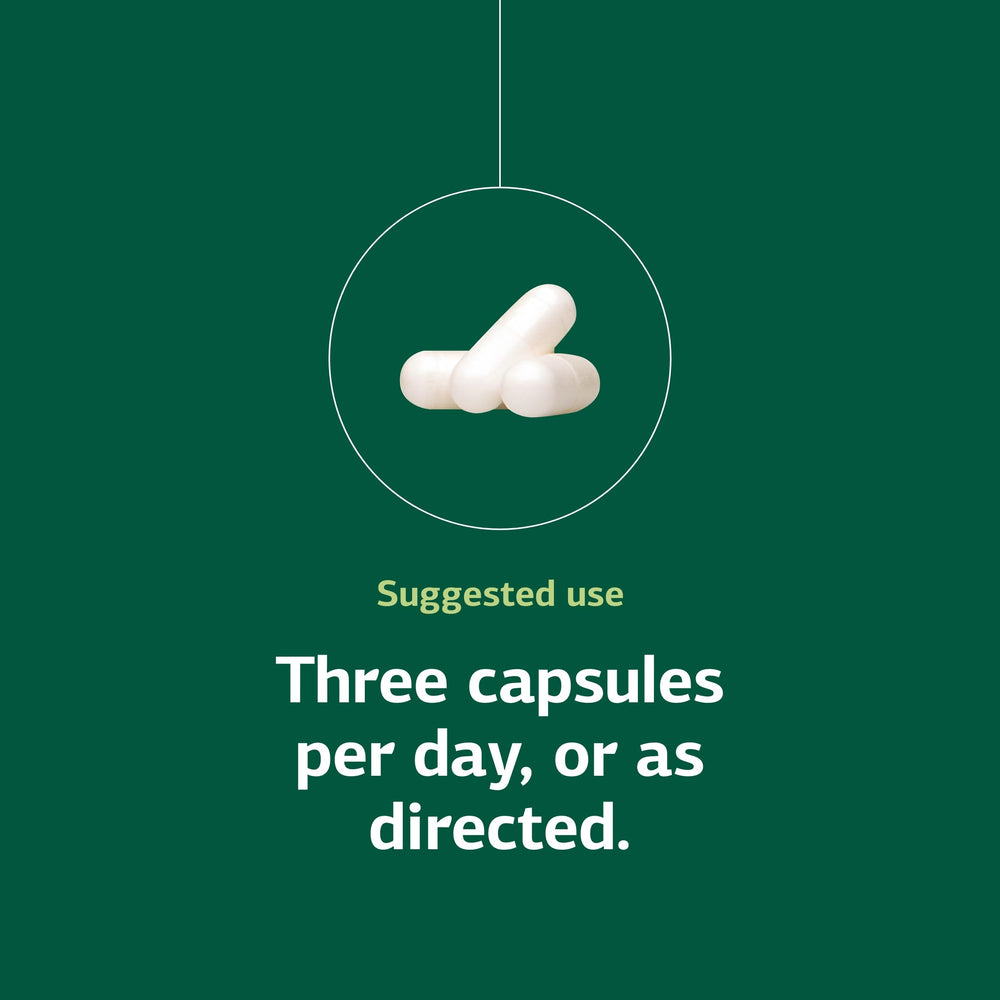 Magnesium lactate providing energy support