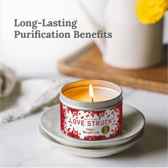Close-up of sage, rose, jasmine, lavender and lilac blend for love and purification