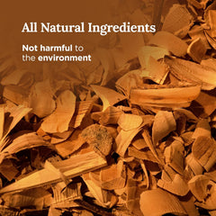 Scent notes: sage, gardenia, bergamot, and ginger