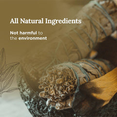 Packaging image showing the gift-ready Magnificent 101 Sage and Palo Santo Candle Set
