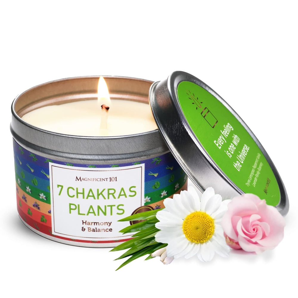 Magnificent 101 Seven Chakra Smudge Candle in a 6 oz tin