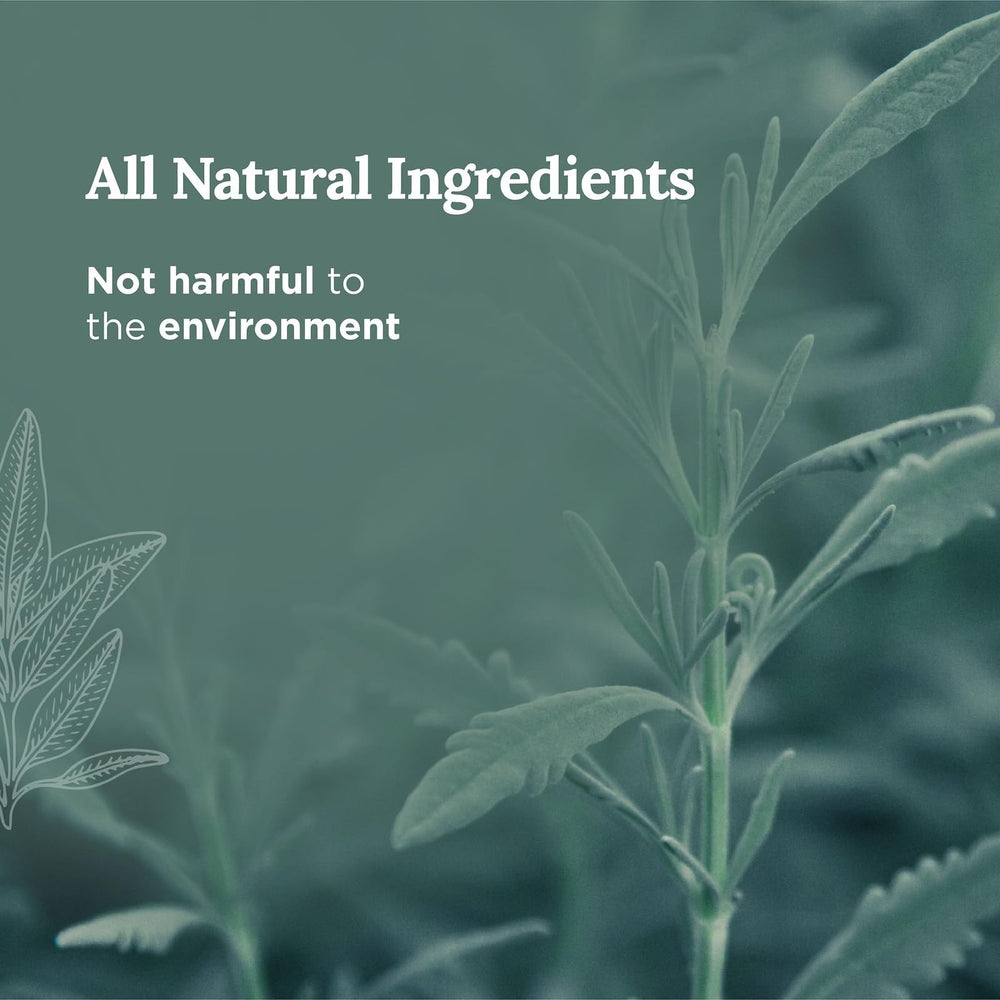 Label detail showing organic soy wax and sage aromatics