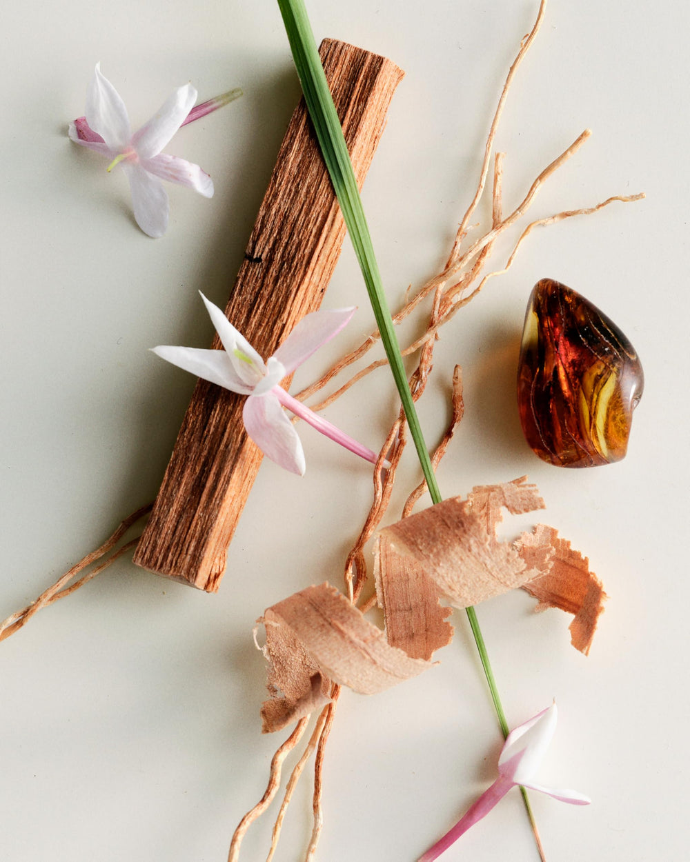 Vegan, cruelty-free Maison Louis Marie packaging and logo