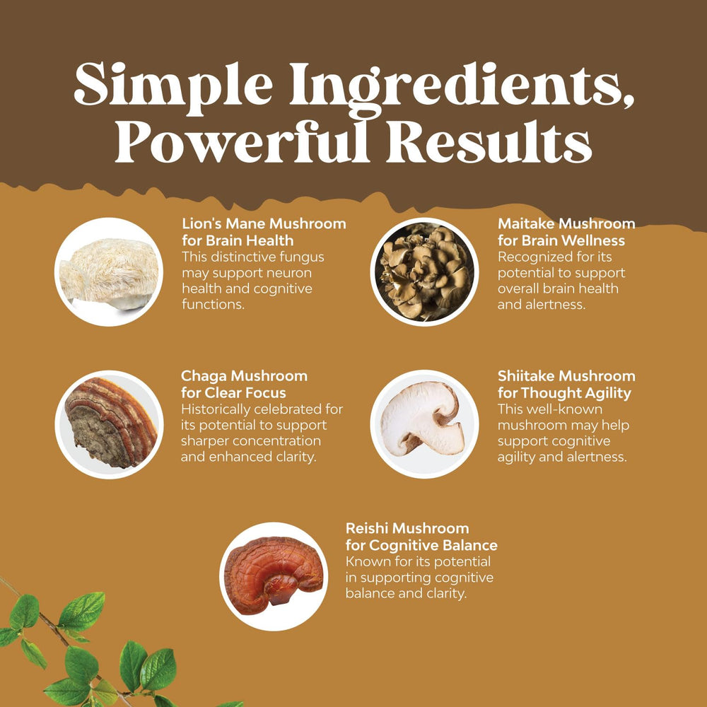 Maitake, Reishi, Chaga and Shiitake mushroom blend for cognitive support