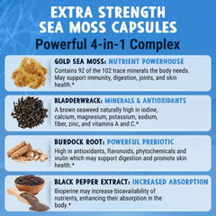 Sea moss capsules showing bladderwrack and burdock root ingredients