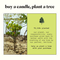 Vegan, cruelty-free candle ingredients and care