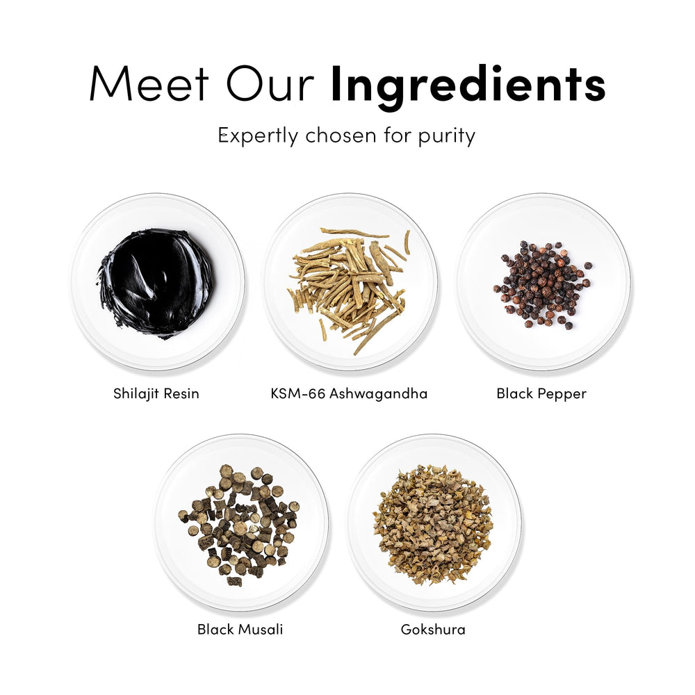Sugar-free formulation with chicory root inulin