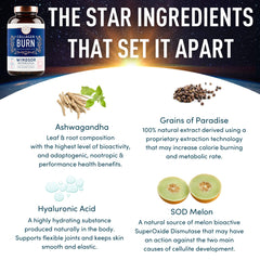 Marine and bovine collagen ingredients