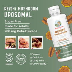 Liposomal delivery system illustration