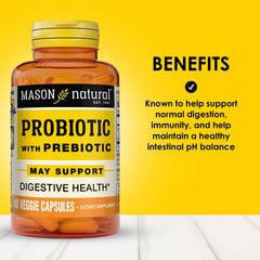Inulin prebiotic ingredient visual