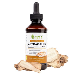 Maxx Herb Astragalus Root Extract bottle front view