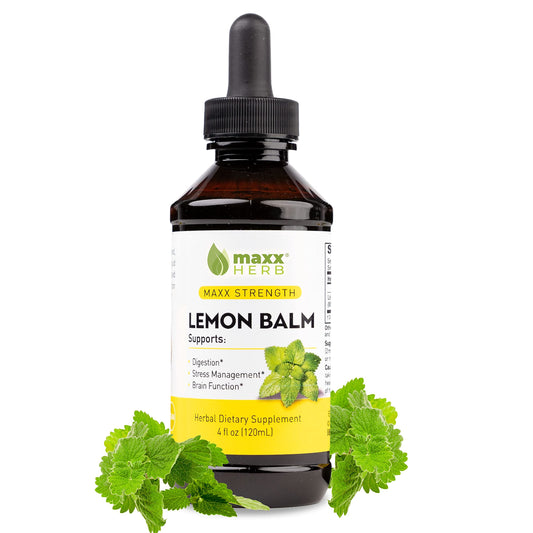 Maxx Herb Lemon Balm Extract 4 oz bottle