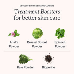 Spinach and kale powder imagery