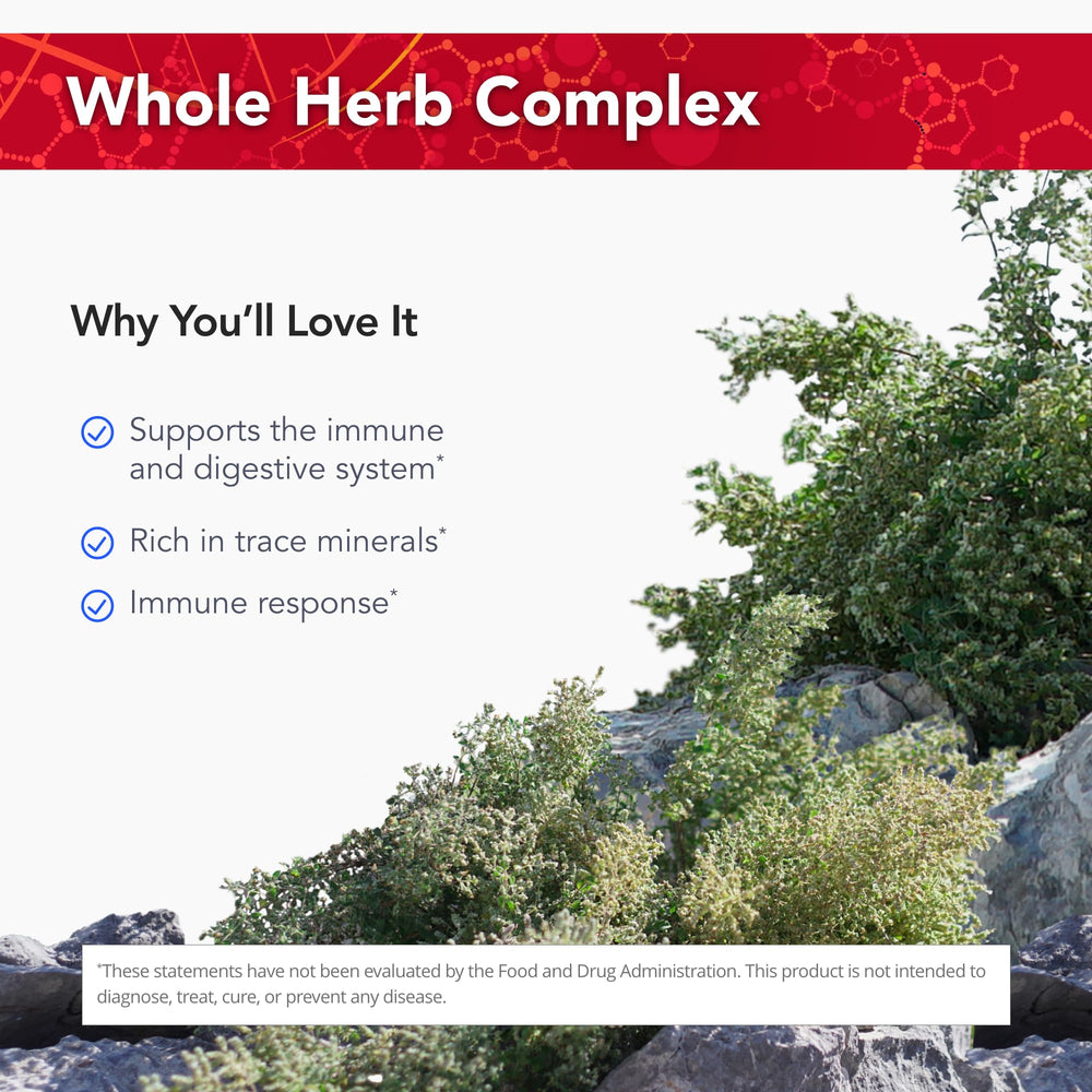 Wild oregano from the Mediterranean mountains