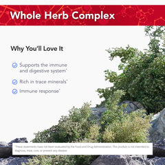Wild oregano from the Mediterranean mountains