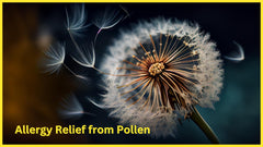 MedPlus multi-symptom relief visuals show itchy eyes, sneezing, and congestion use cases.