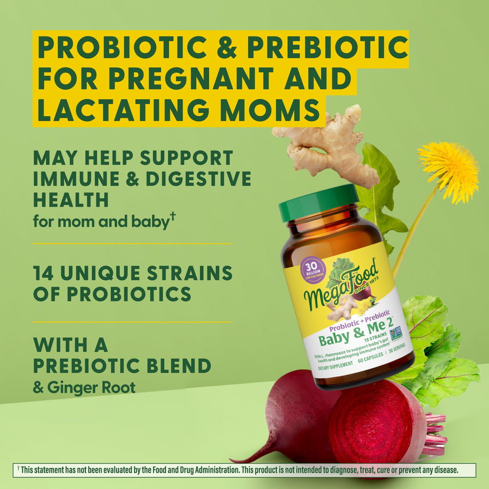 Illustration of ginger root and prebiotic ingredients used in the formula