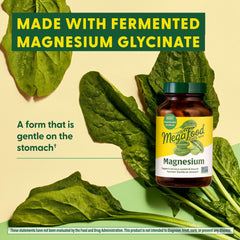 Fermented Magnesium Glycinate ingredients concept