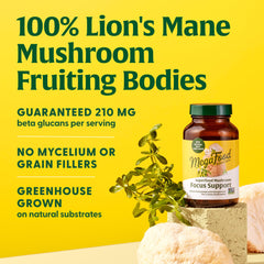 Lions Mane capsules bottle