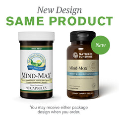 Nootropic brain supplement for memory and focus