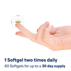 Graphic depicting men’s prostate and urinary health support
