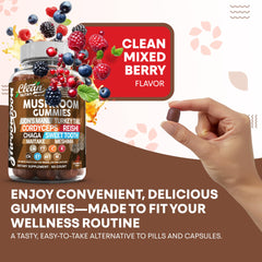 Meshima mushroom gummies highlight
