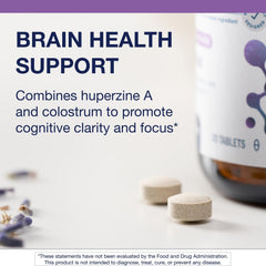 Brain health and focus graphic associated with Ceriva formula