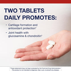 Illustration of glucosamine, chondroitin, and MSM joint ingredients
