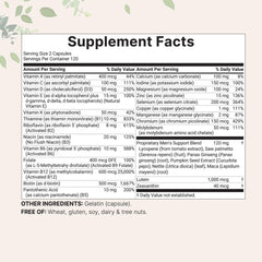 Methylated B vitamins and active folate illustration