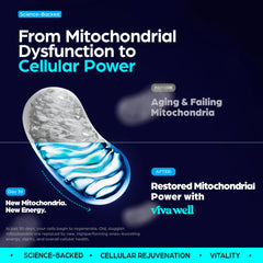 Label showing Methylene Blue Capsules with Magnesium Glycinate & Vitamin C