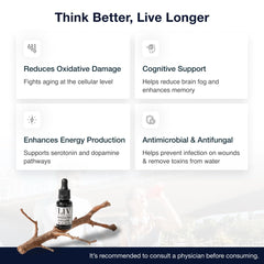 Methylene Blue for cognitive support branding