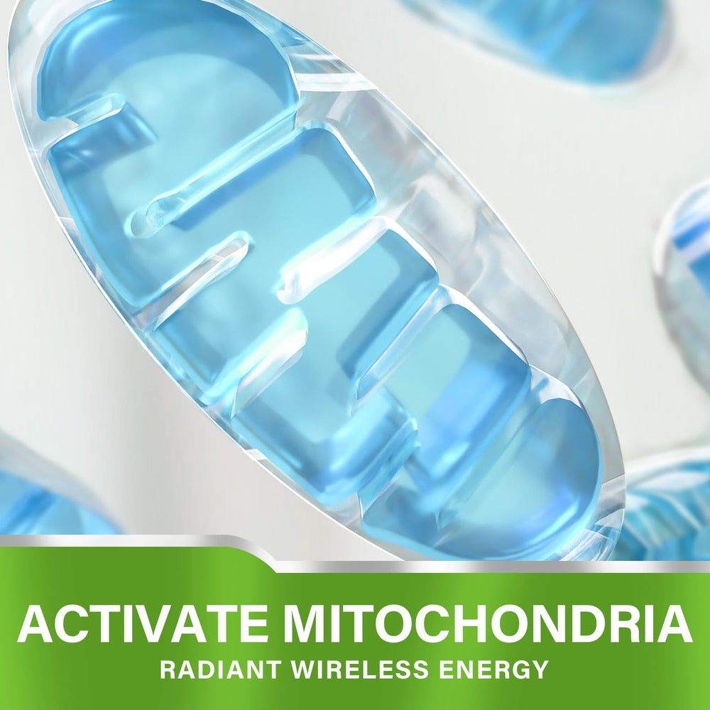 Ingredients and purity information for Methylene Blue Capsules